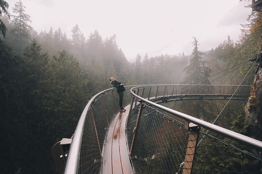 Person standing on Capilano Suspension Bridge