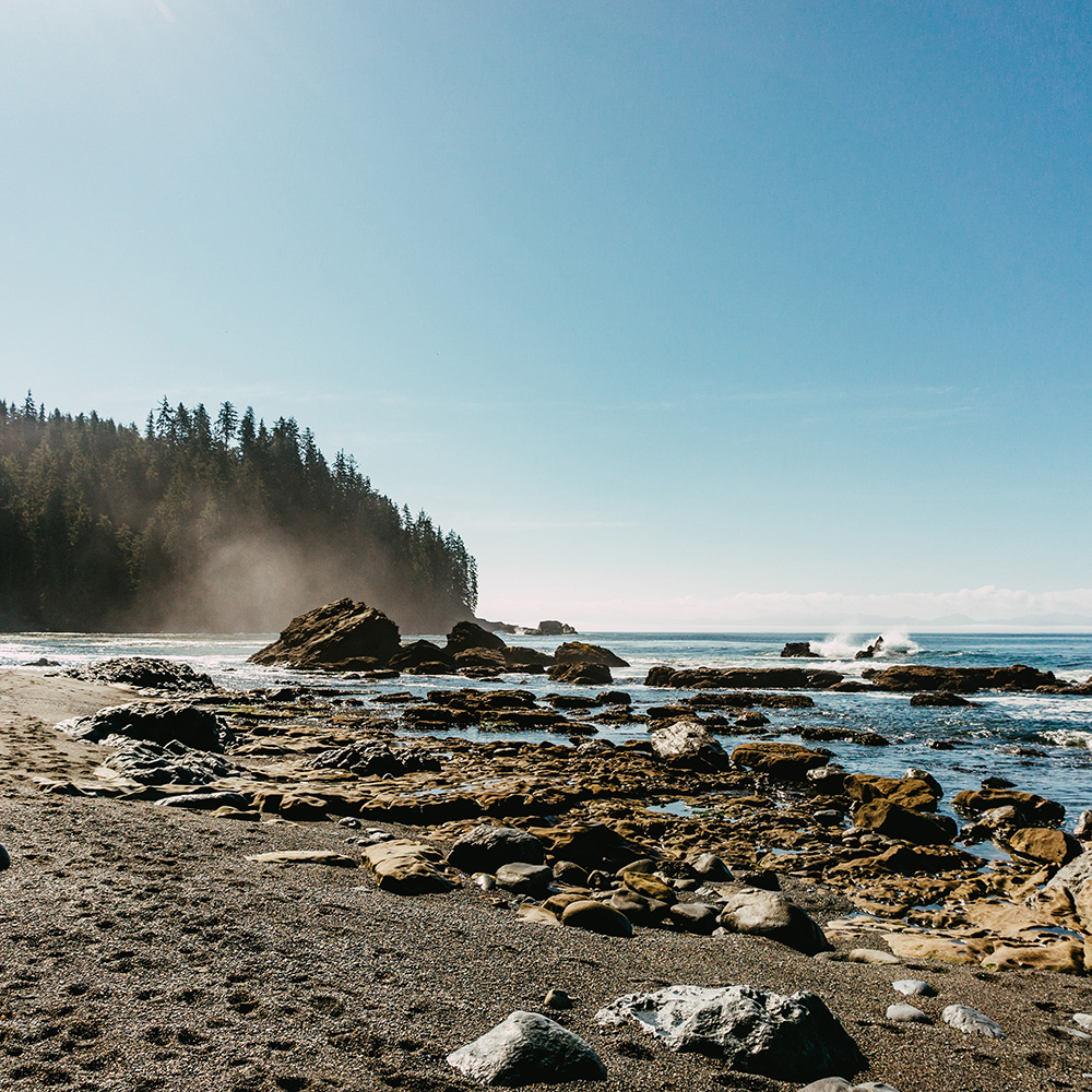 Rocky Vancouver Island coastline
